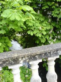 Balustrade and river Frome